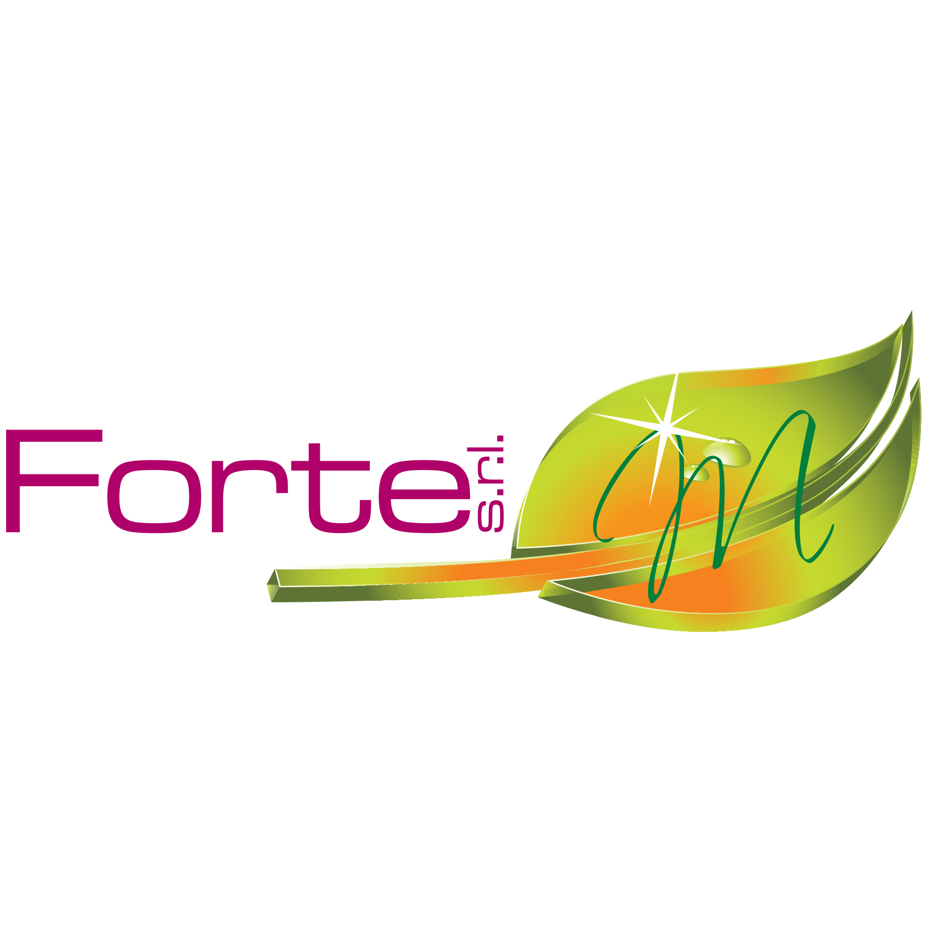 Forte srl ortofrutta fondi